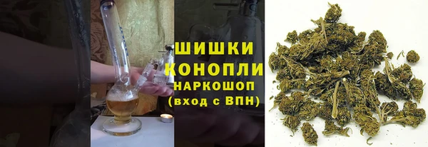 соль ск Инсар