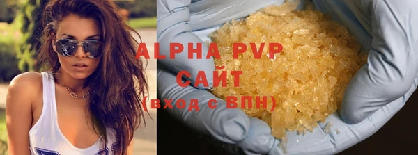 спайс Инта