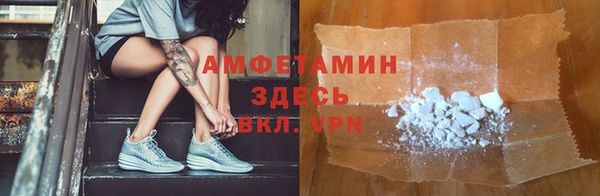 индика Каменка
