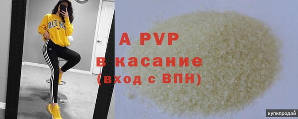 соль ск Инсар