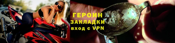 индика Каменка