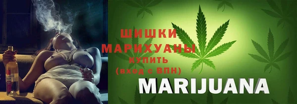 спайс Инта
