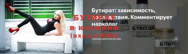 соль ск Инсар
