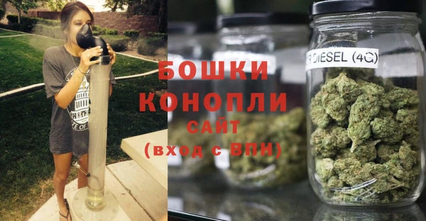 спайс Инта