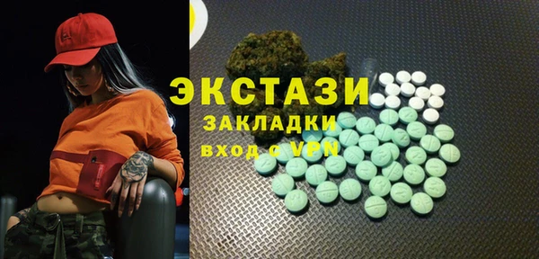 соль ск Инсар