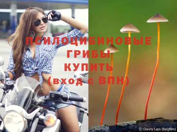 соль ск Инсар