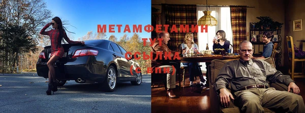 прущие грибы Иннополис