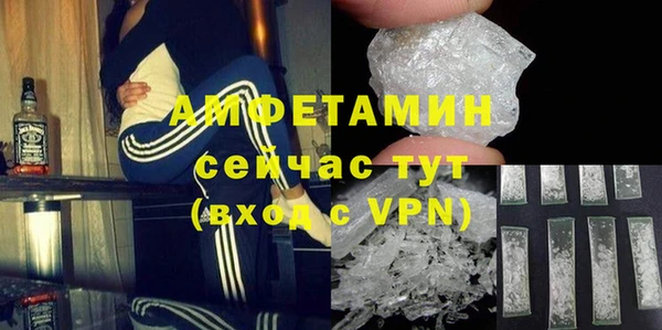 соль ск Инсар