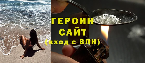 индика Каменка