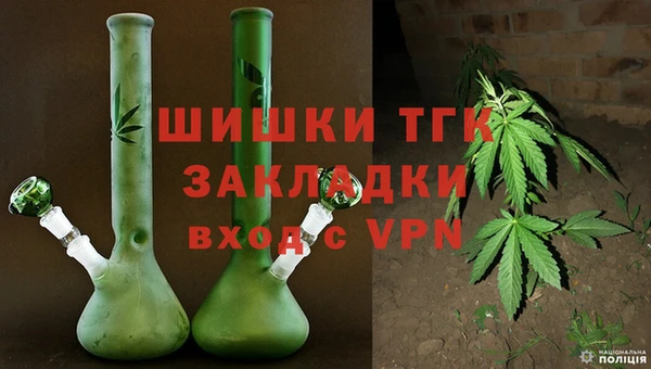 прущие грибы Иннополис
