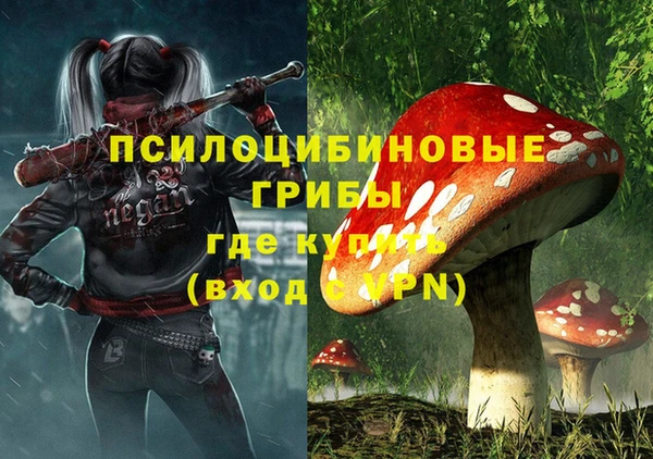 прущие грибы Иннополис