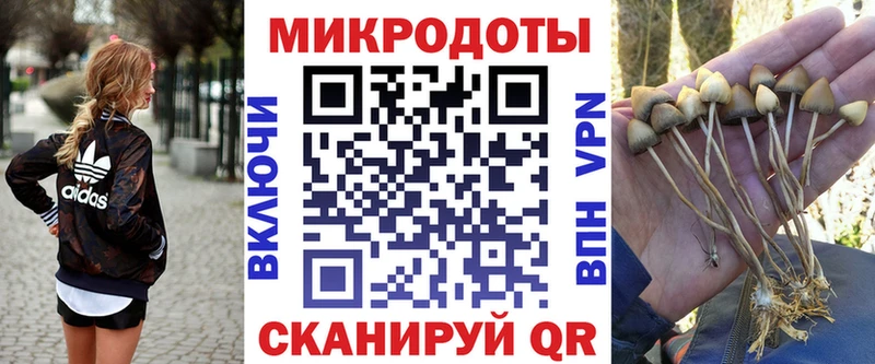 Купить  Вилючинск  Галлюциногенные грибы мицелий 
